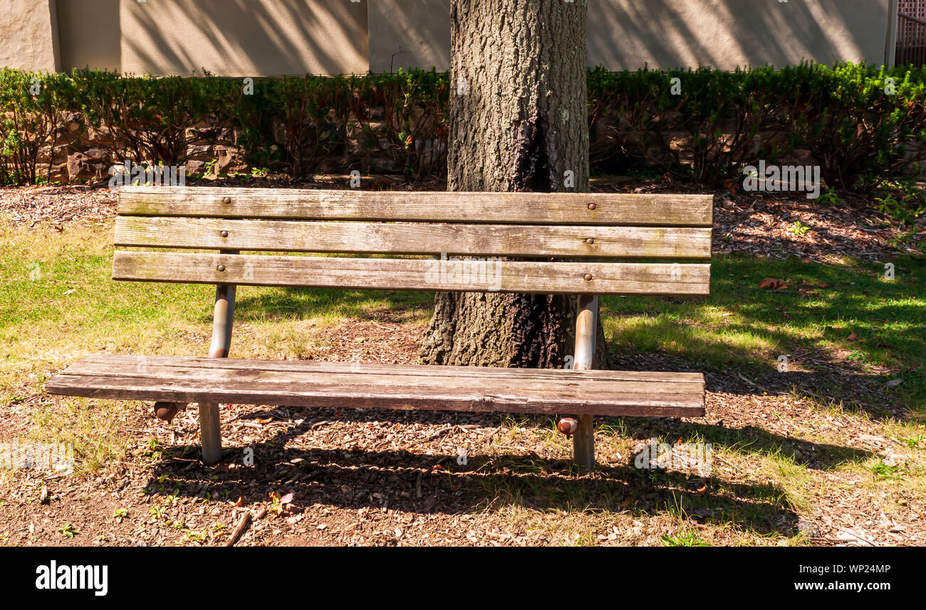 A Wooden Park Bench In Front Of A Tree With A Building And Shrubs