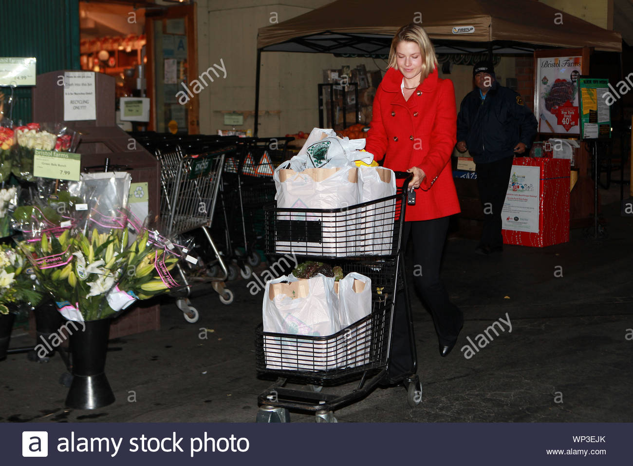 West Hollywood Ca Ali Larter Loads Her Shopping Cart Full Of