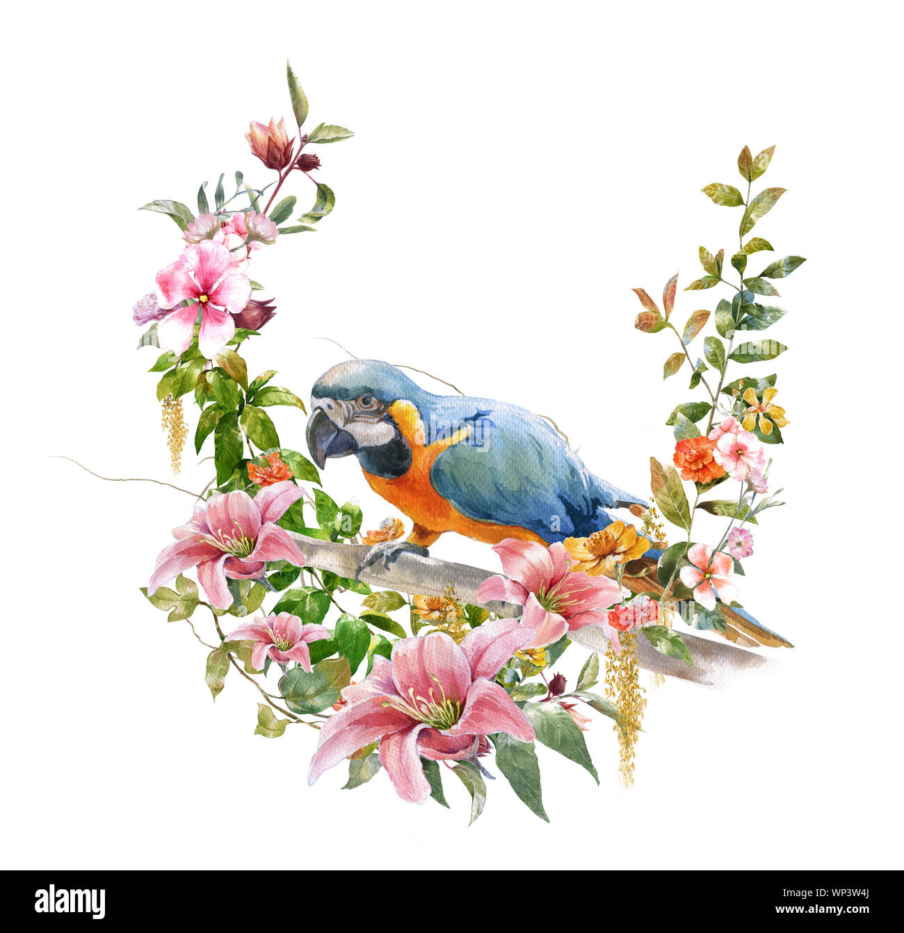 watercolor painting with bird and flowers, on white background Stock ...