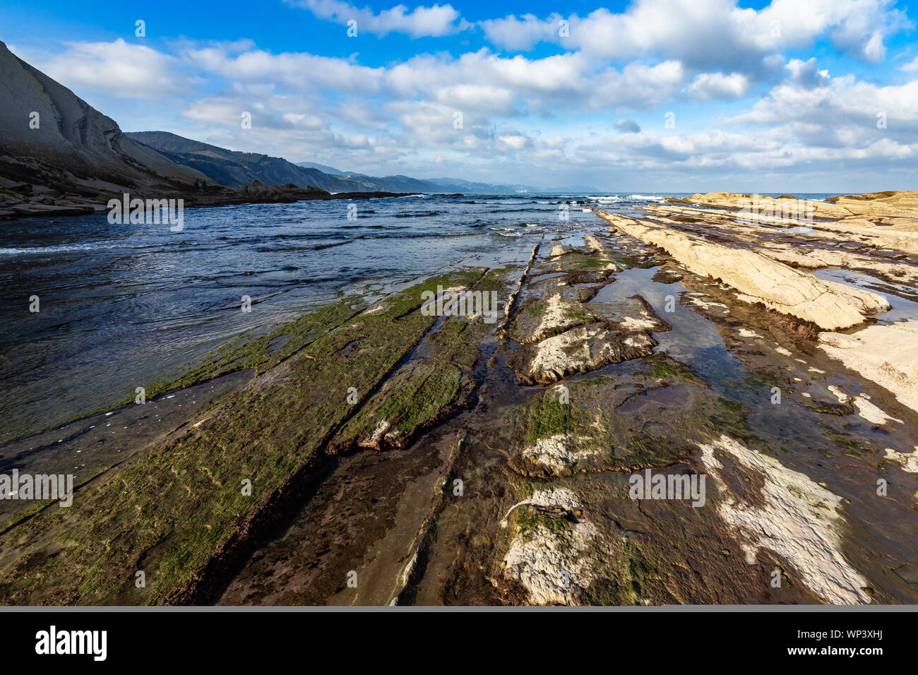 Close up of the flysch, a geological rock formations caused by the ...