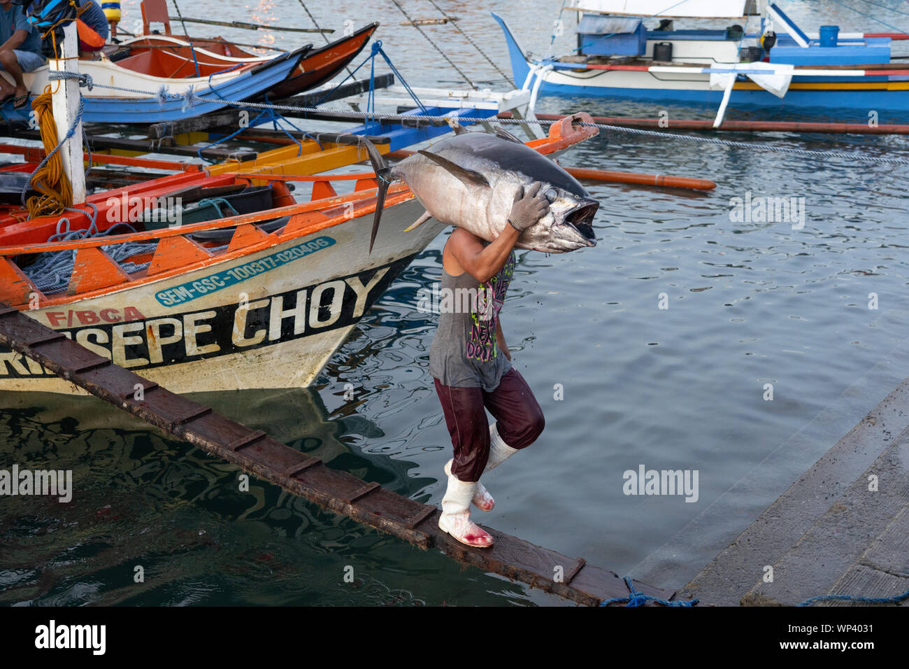 A man carrying a large Yellowfin Tuna on his shoulder from a boat within the Fishport at General Santos,Philippines Stock Photo