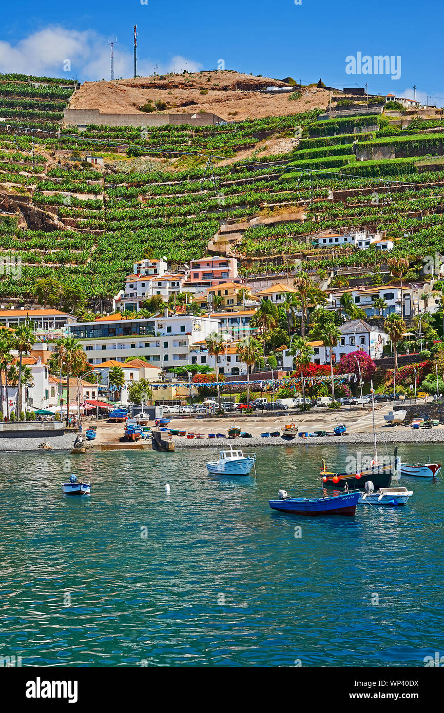 The island of Madeira and the village of Camara de Lobos, and fishing boats in the pretty harbour, are overlooked by terraced hillsides. Stock Photo