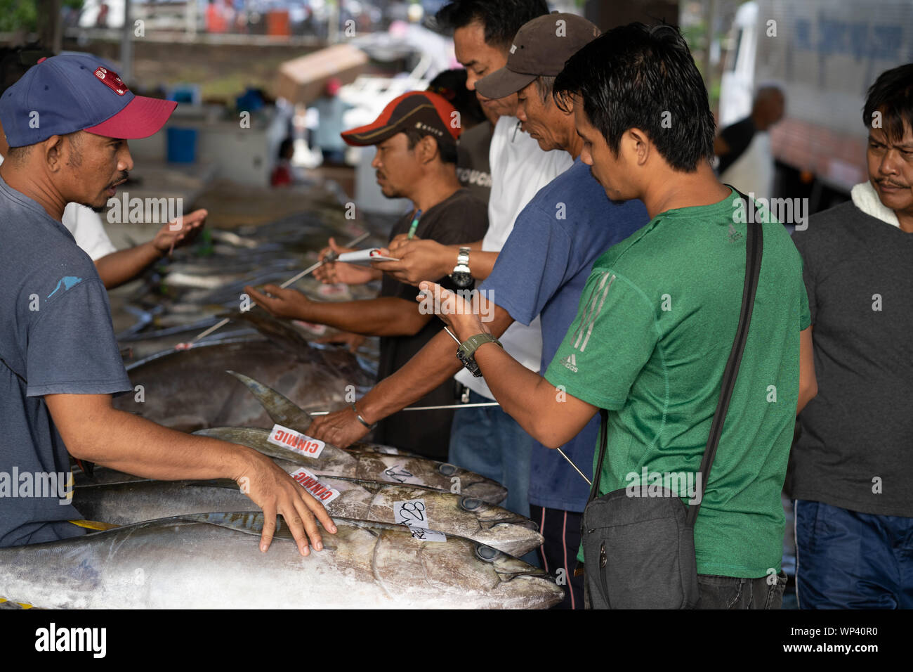 Yellowfin Tuna being graded for quality at the Fishport of General