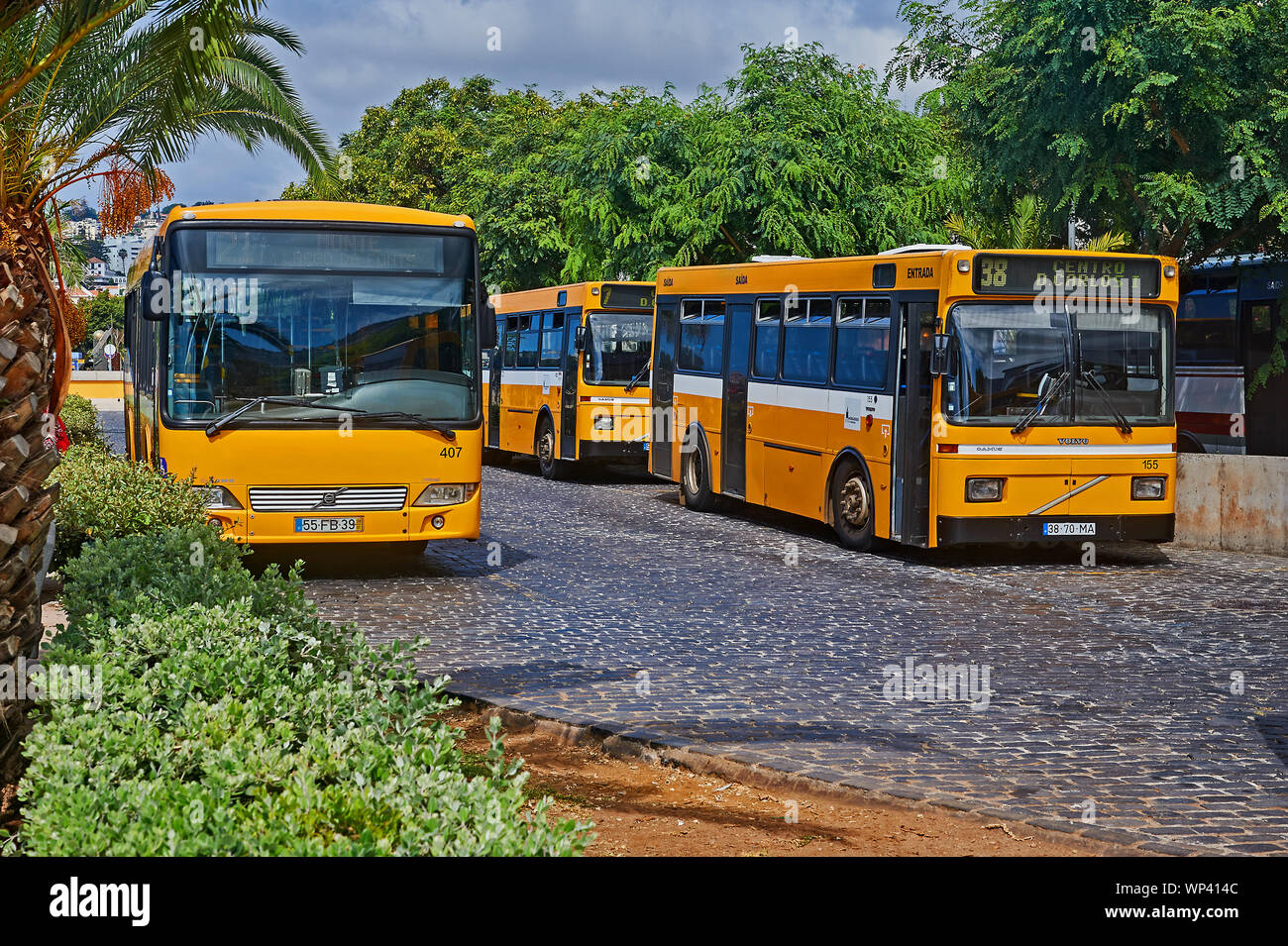 Funchal bus hi-res stock photography and images - Alamy