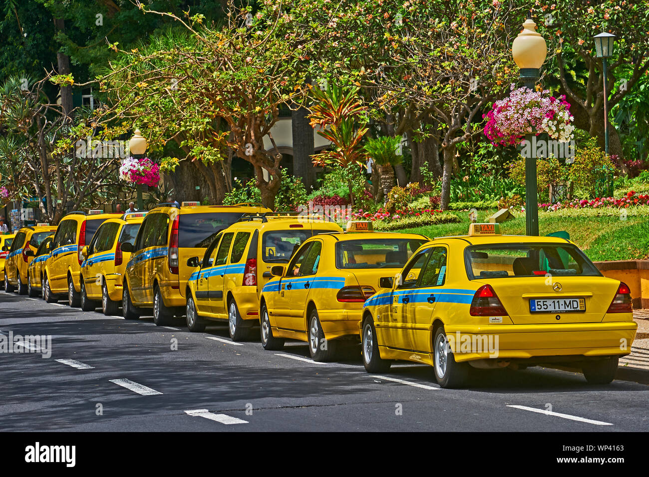 Taxis funchal madeira hires stock photography and images Alamy