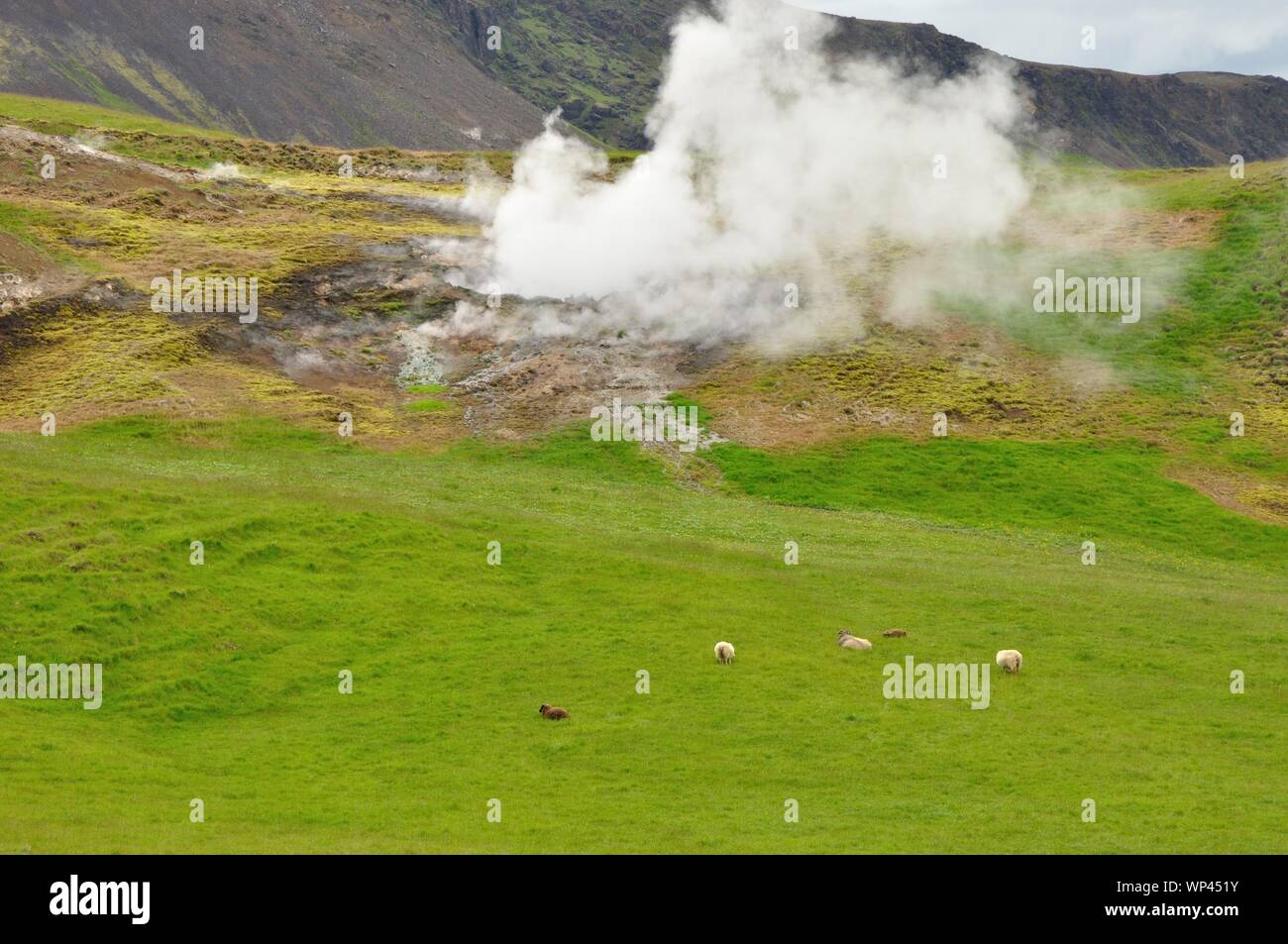 Geothermal aktiver Bereich beim Isländischen Ort Hveragerdi. Stock Photo