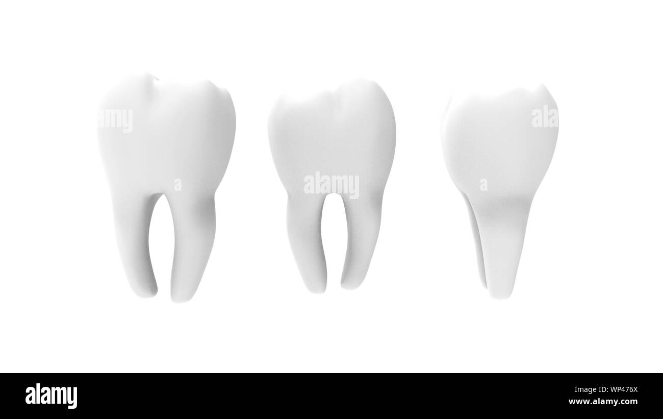 3d rendering of a tooth molar isolated in white studio background Stock ...