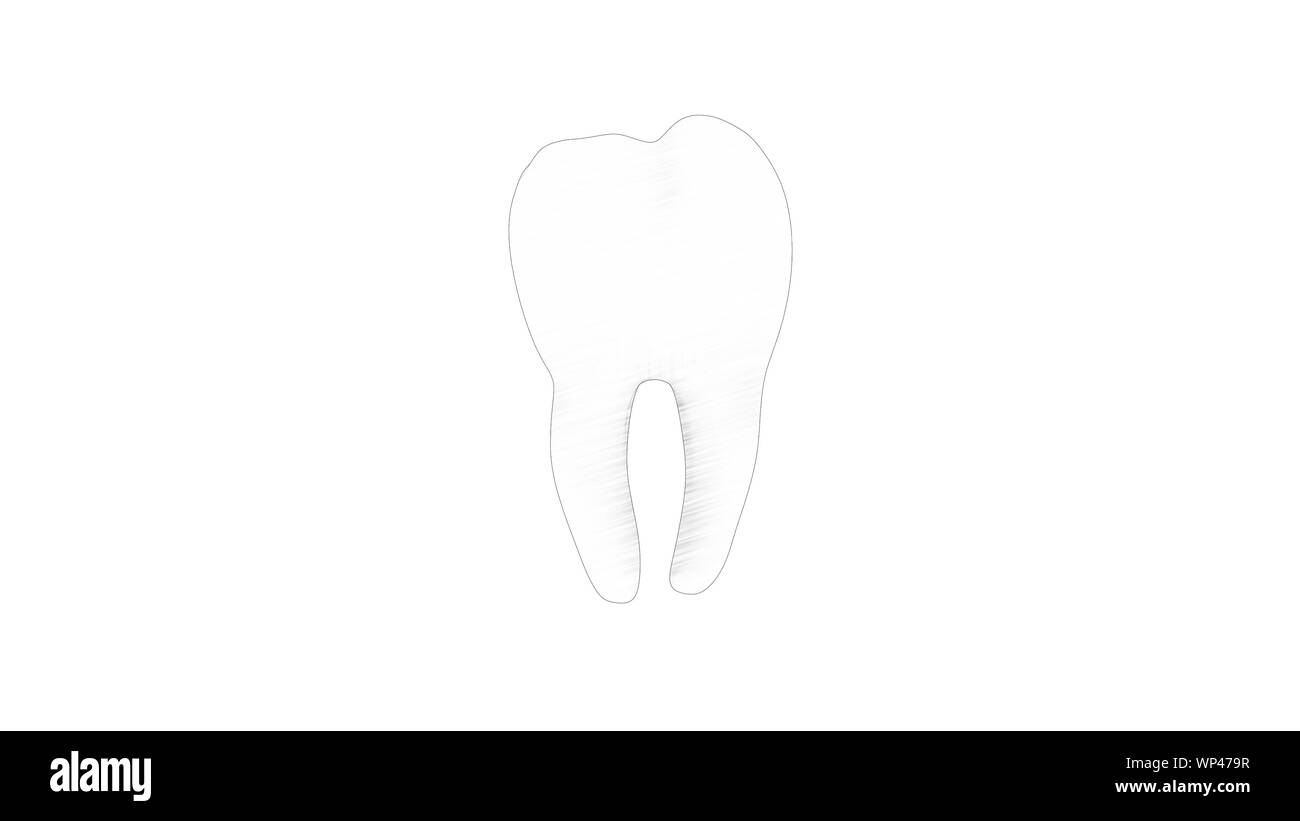3d rendering of a tooth molar isolated in white studio background Stock Photo