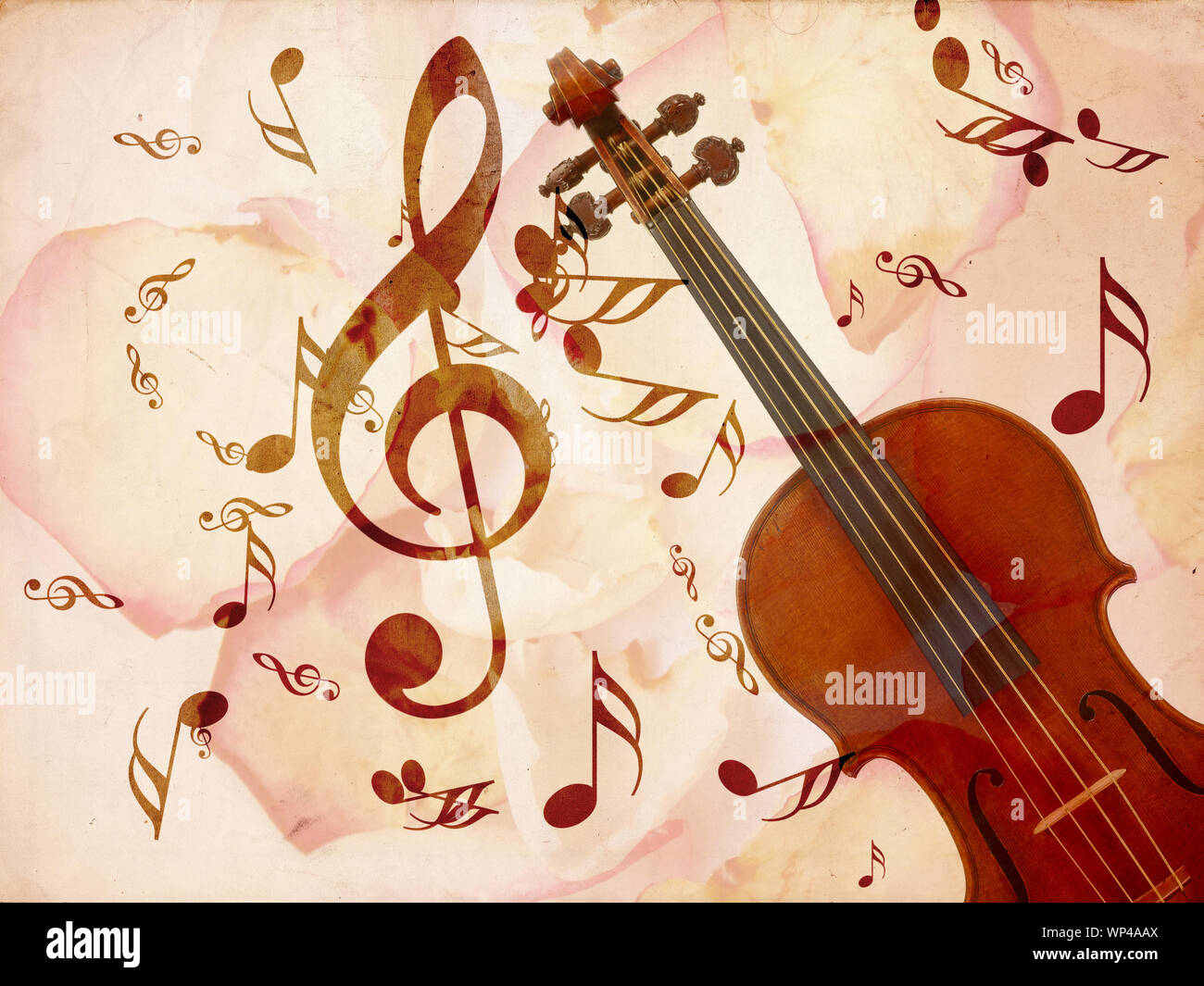 Abstract grunge rose petals, violin and music notes vintage background ...