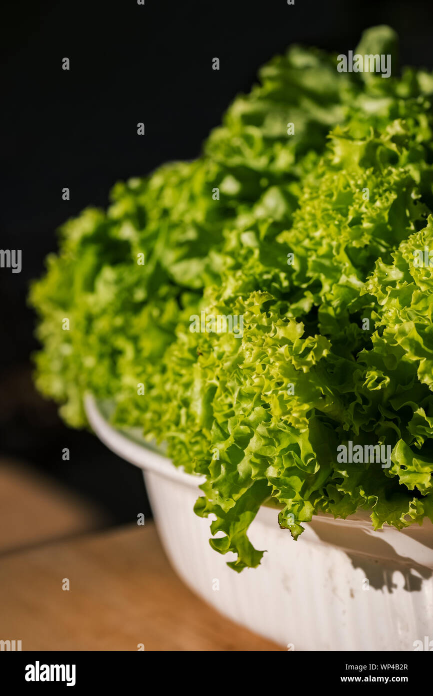 Bowl of fresh salad leaves close-up Stock Photo