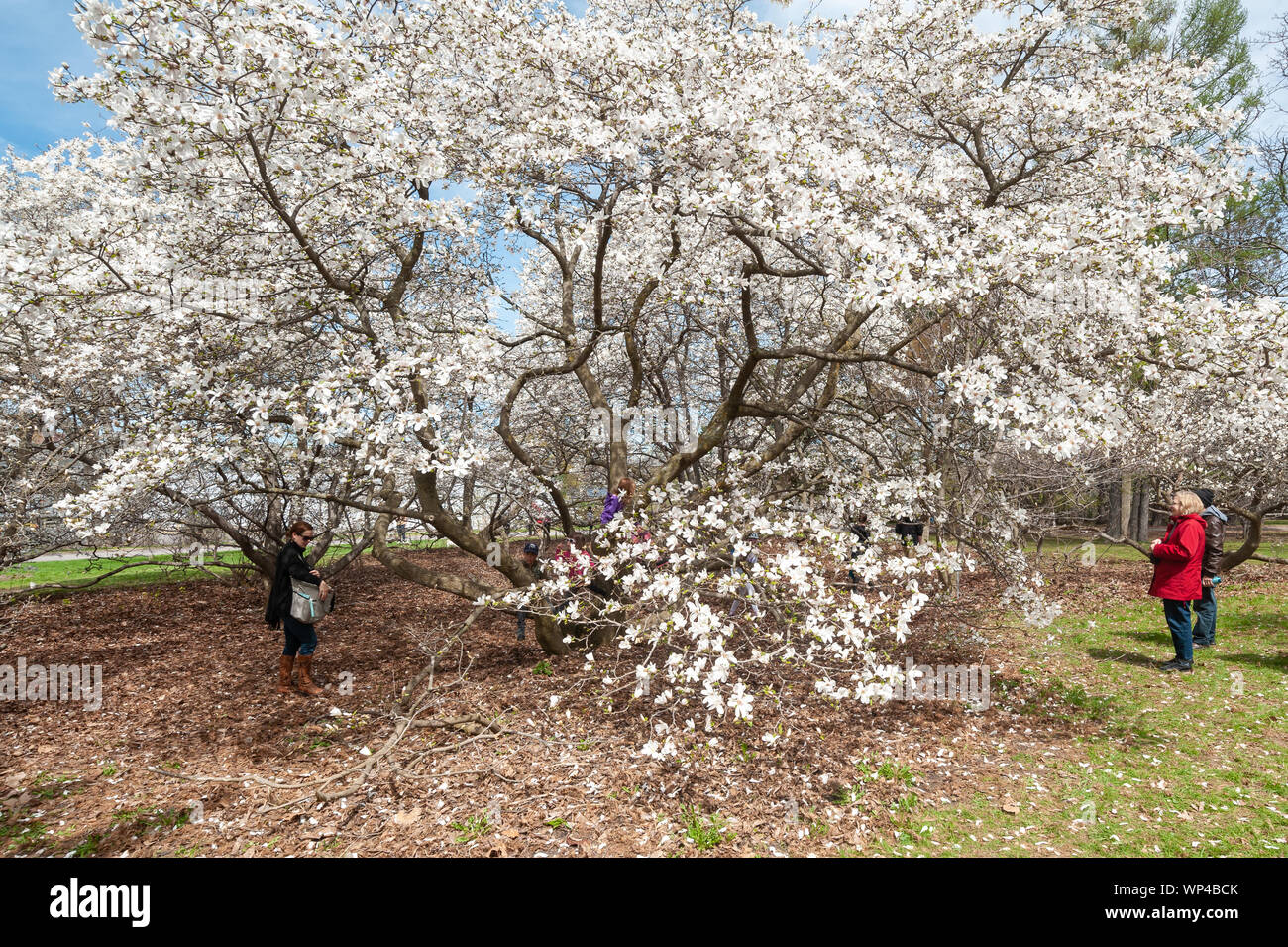Ottawa arboretum hires stock photography and images Alamy