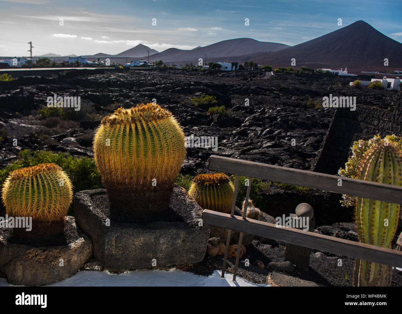 Lanzarote, Spain October 15 2018: View from the terrace of a recent black lava field and volcano with cactuses, at the Cesar Manrique Foundation, home Stock Photo