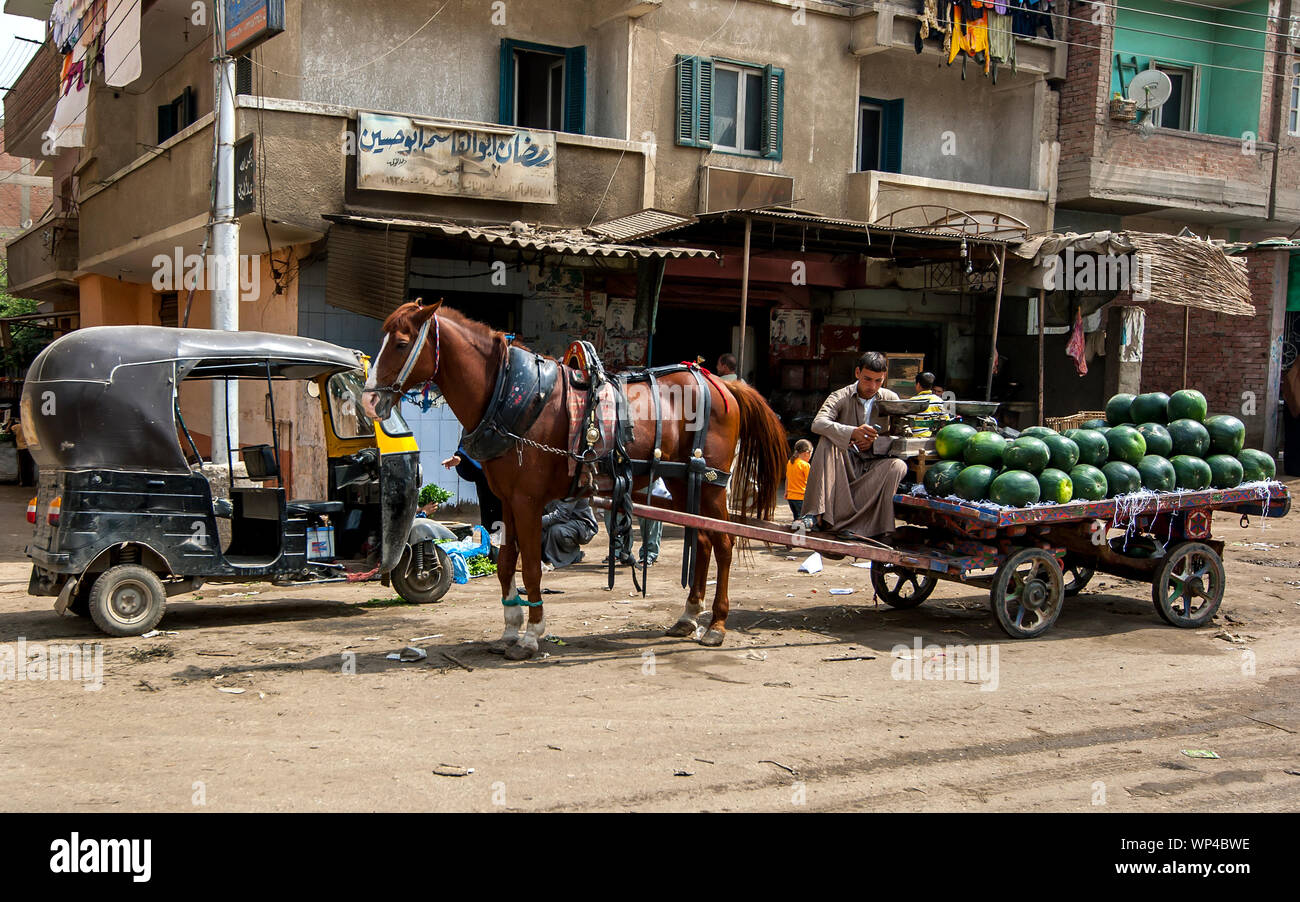 A watermelon salesman waits with his horse and cart for customers in a