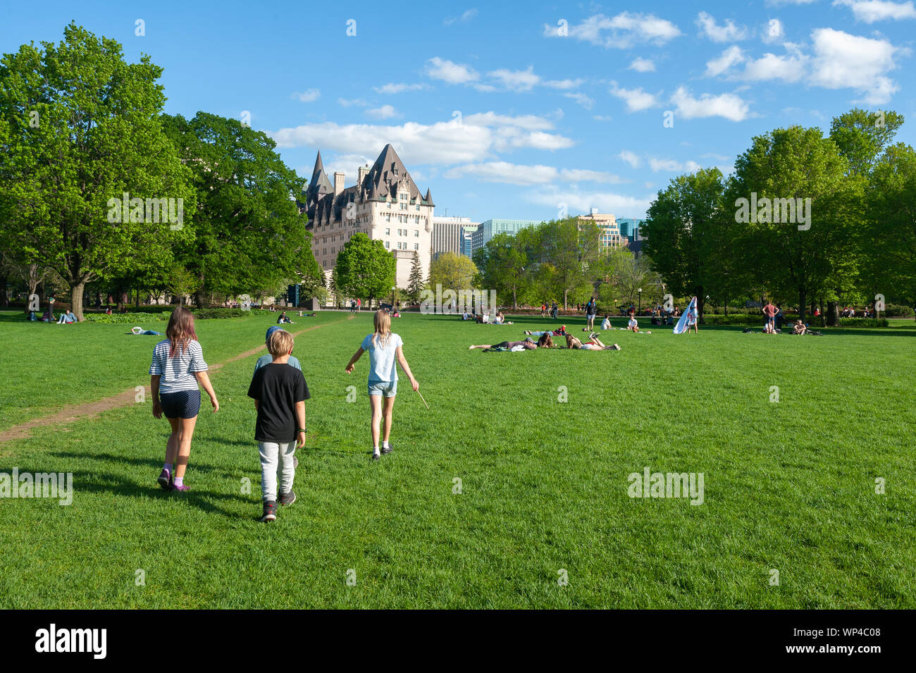 Majors green hi-res stock photography and images - Alamy