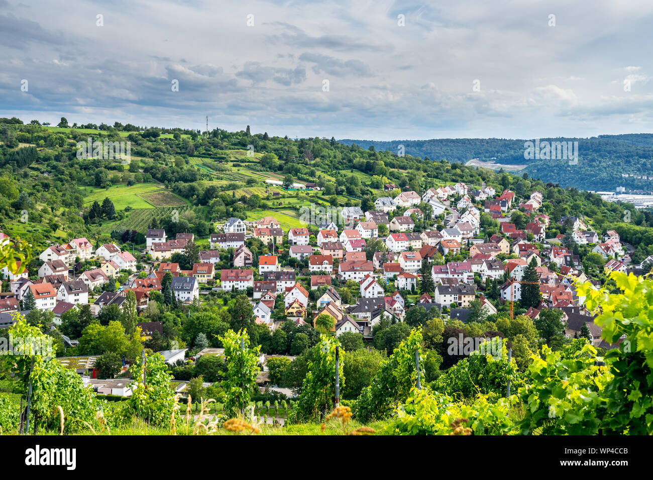 Germany, Stuttgart city district uhlbach, a small village in green