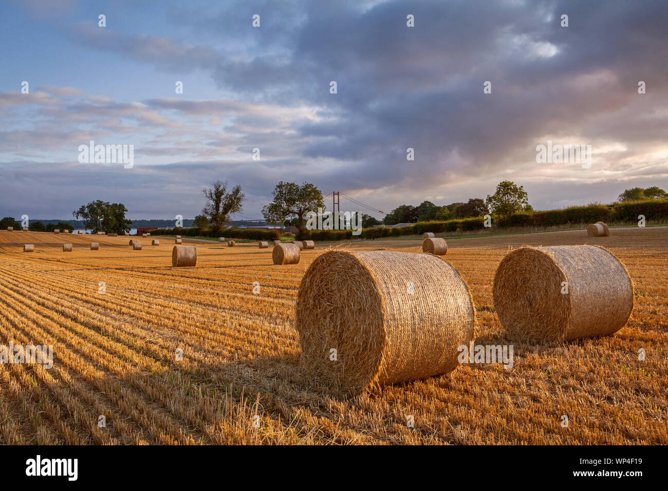 Barton-upon-Humber, North Lincolnshire, UK. 07th Sep, 2019. UK Weather: A stubble field, shortly after sunrise, on an unsettled morning of weather. Barton-upon-Humber, North Lincolnshire, UK. 7th September 2019. Credit: LEE BEEL/Alamy Live News Stock Photo