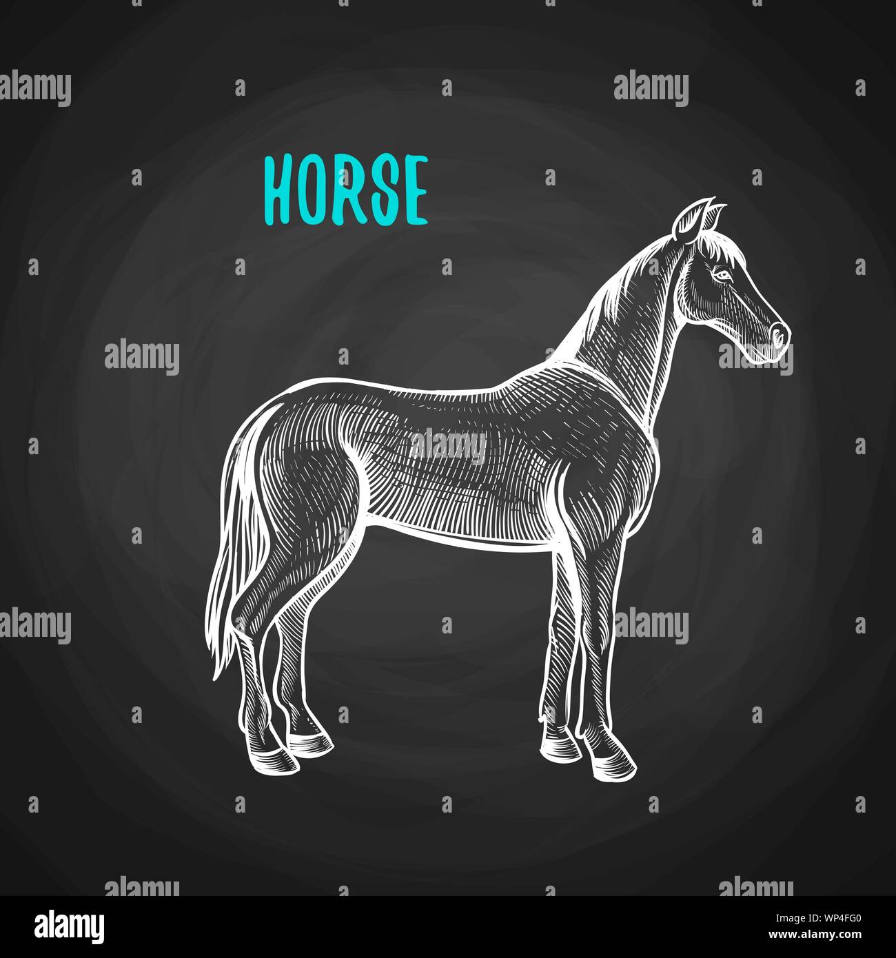 Animal horse in the style of chalk on a blackboard. Vector illustration