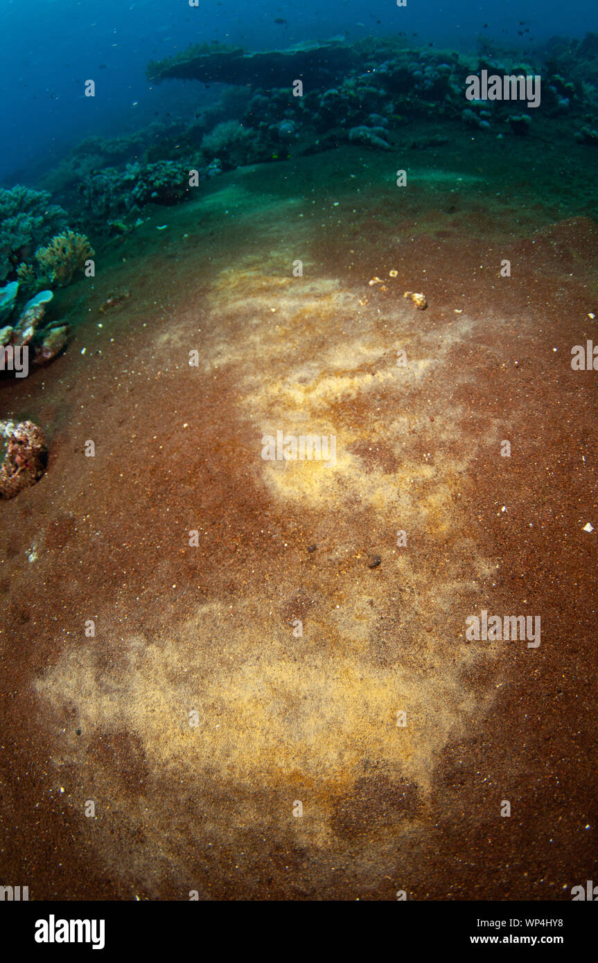 Sulphur deposits in sand, Tanjung Kelapa dive site, Manuk Island, Banda Sea, Indonesia Stock Photo