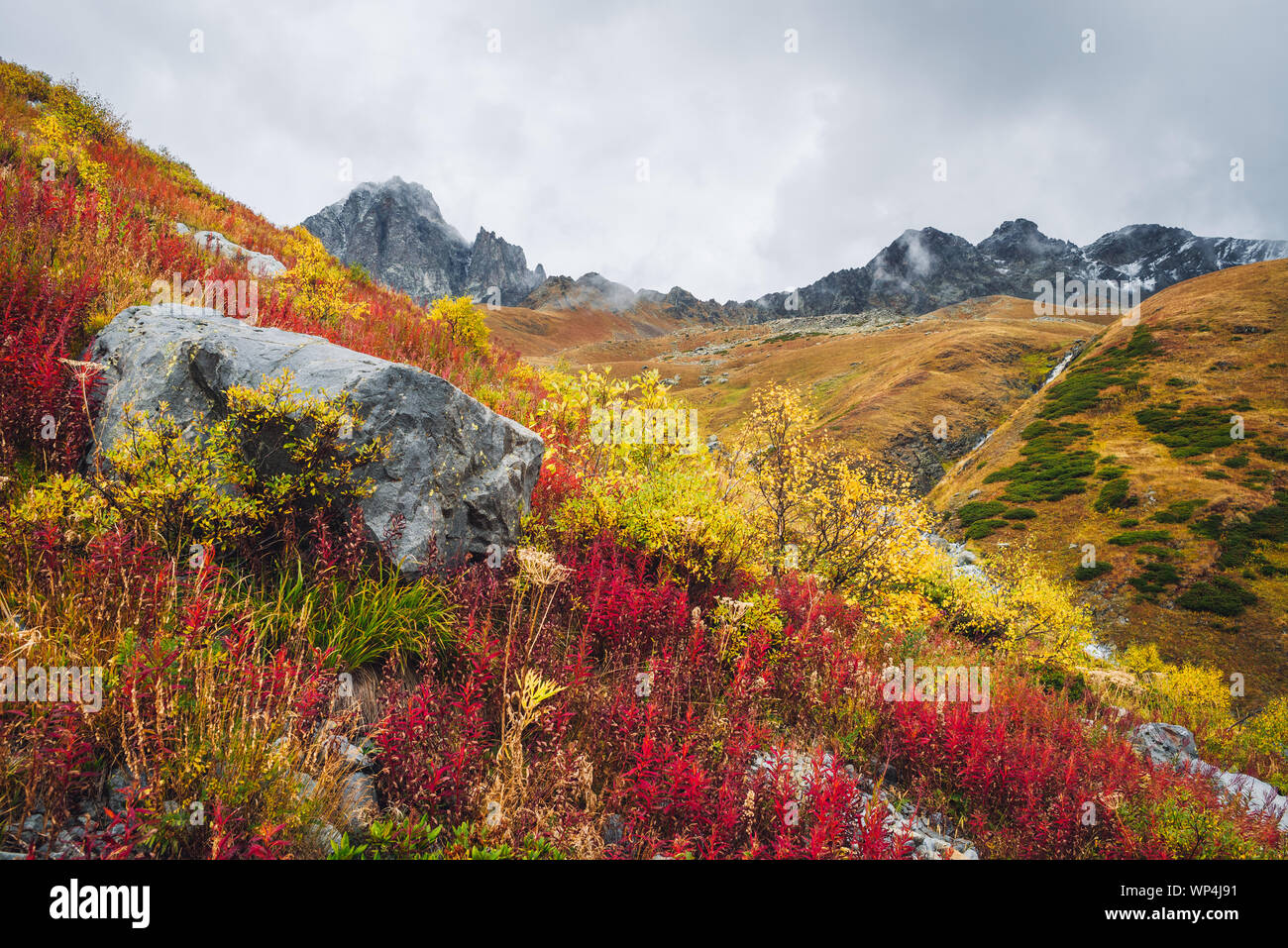 Autumn landscape in the mountains. Beautiful trees and bushes on the hillside. Caucasus, Georgia, Zemo Svaneti Stock Photo