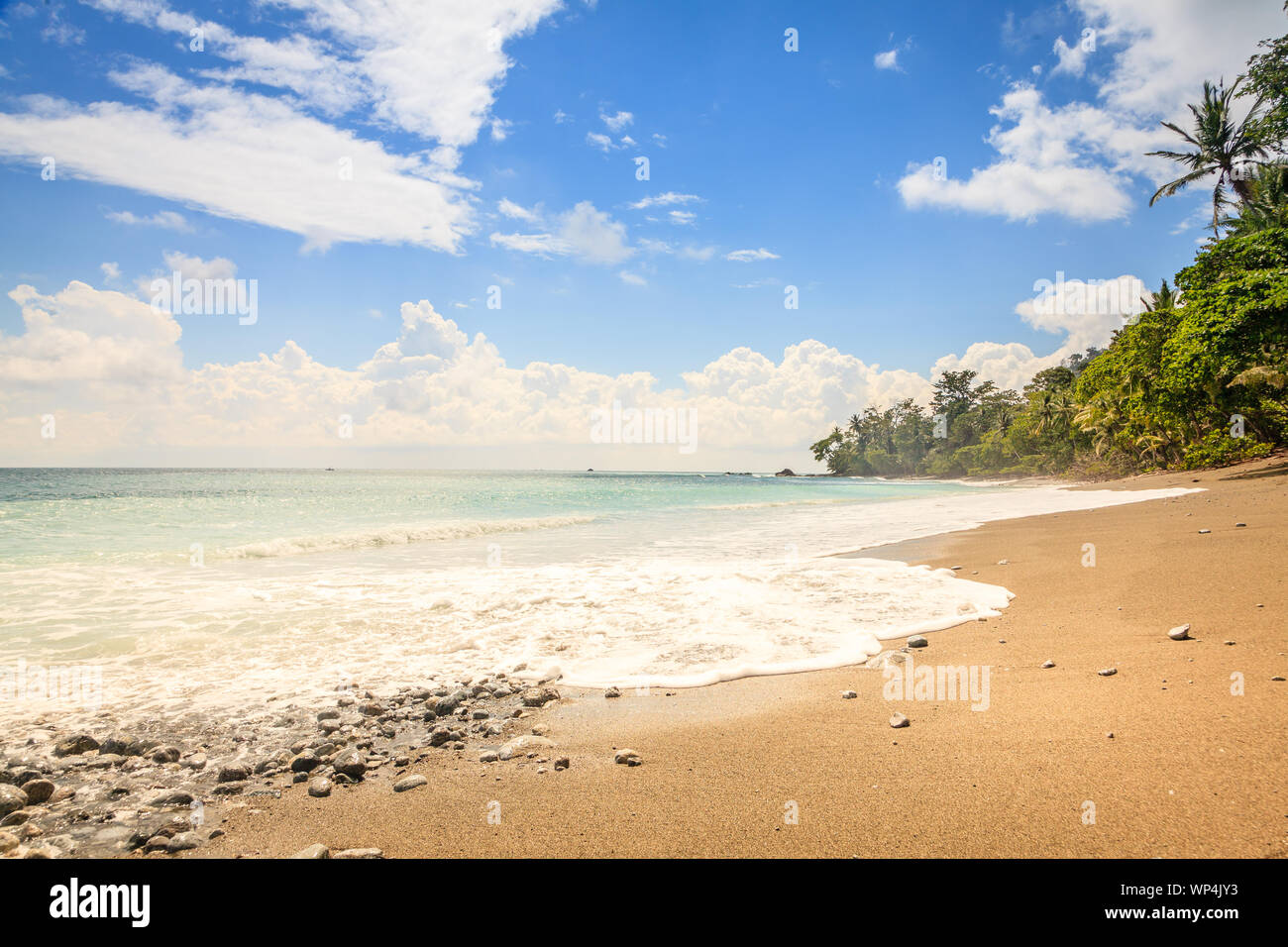 Scenic view of an empty beach in Corcovado National Park in Costa Rica Stock Photo