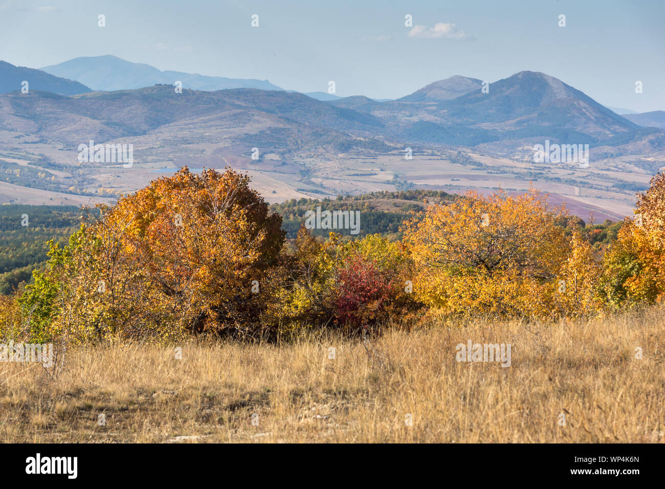 Autumn view of Cherna Gora (Monte Negro) mountain, Pernik Region ...
