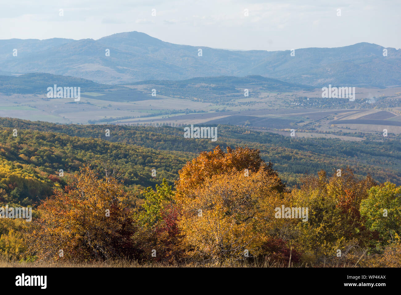 Autumn view of Cherna Gora (Monte Negro) mountain, Pernik Region ...