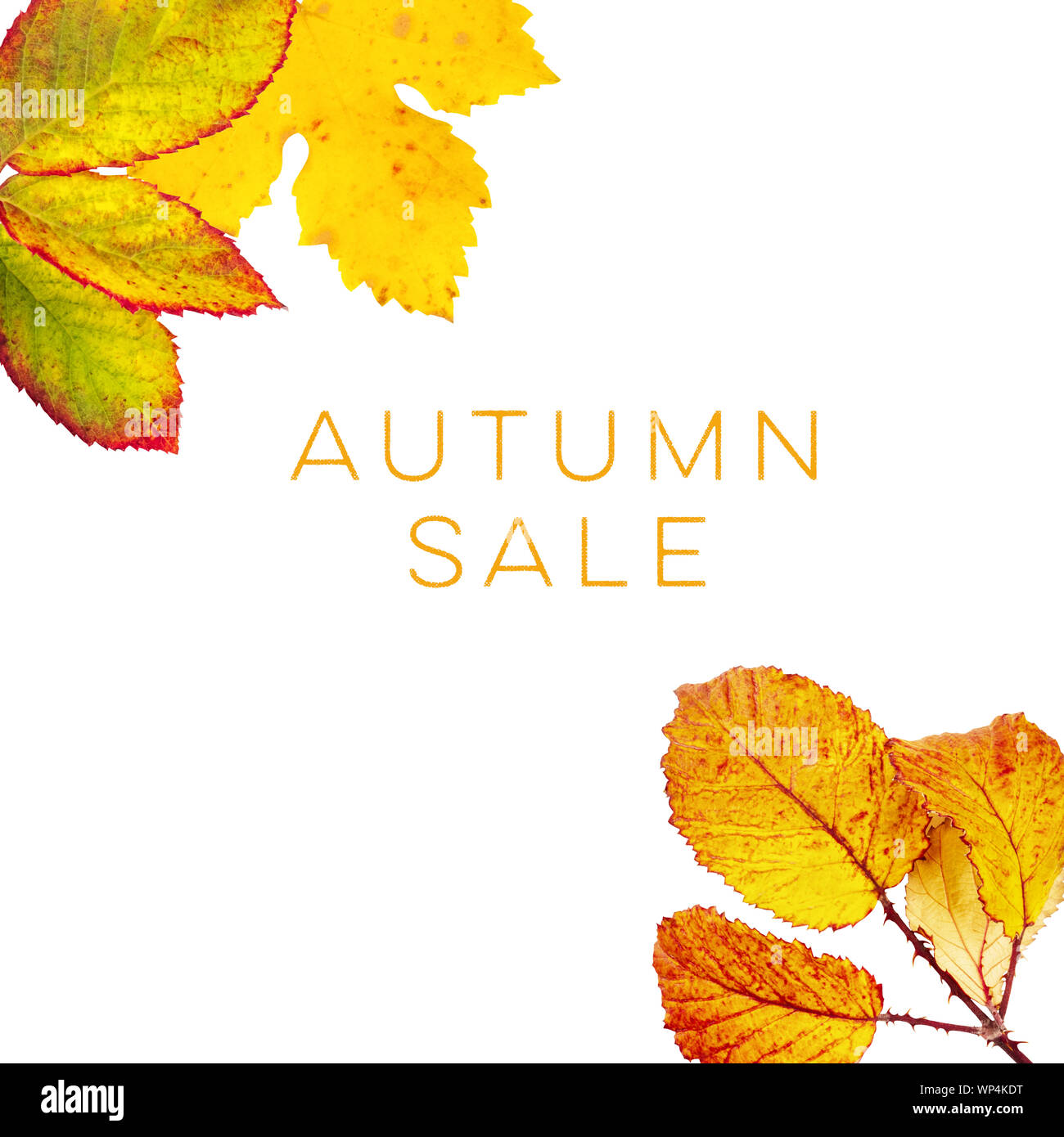 Autumn Sale A Discount Banner Or Flyer Design With Vibrant Yellow