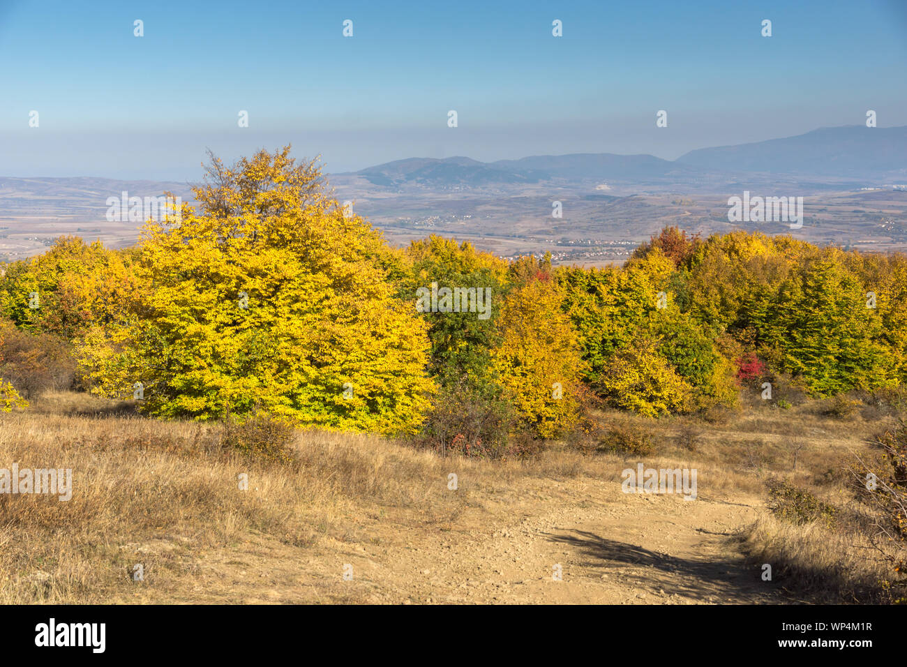 Autumn view of Cherna Gora (Monte Negro) mountain, Pernik Region ...