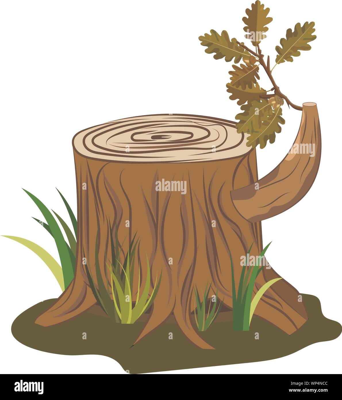 Oak tree stump vector with oak acorn and leaves branch on it. Vector image isolated on white for cartoon decoration and game animations Stock Vector