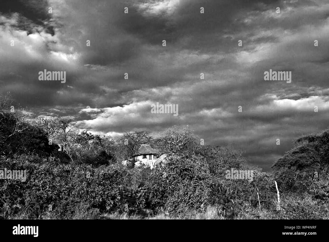 In the heat of the afternoon the clouds start to build up with the threat of an evening thunder storm. Stock Photo