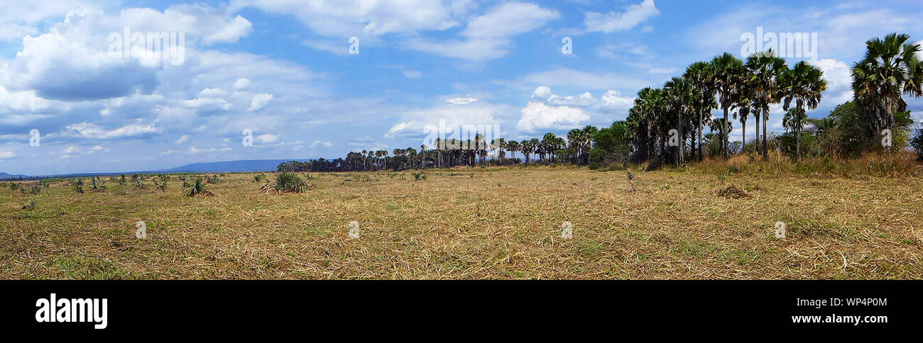 The Eastern boudary of Katavi National Park is formed by the M'lele Escarpment, part of the Western Rift. The Mbuga or Floodplain below is known as Pa Stock Photo