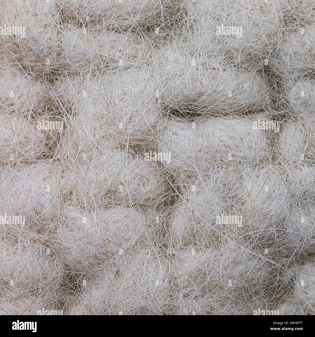 extreme closeup of felted knitted wool Stock Photo