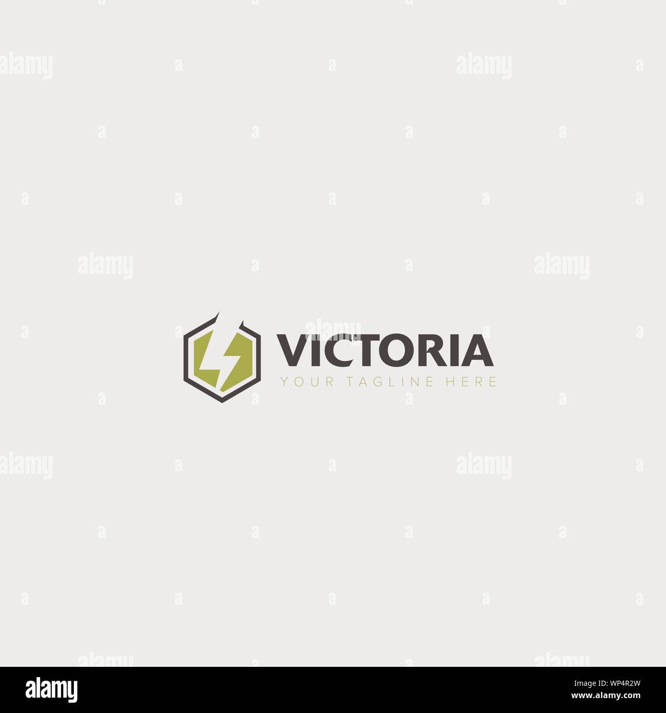 hexagonal and blitz logo electrical bike logo Stock Vector
