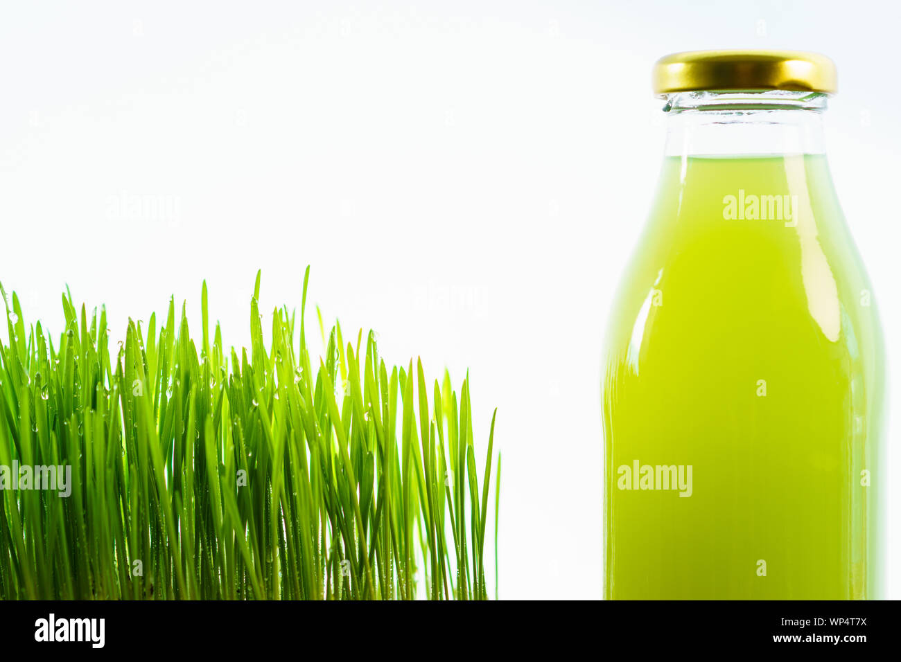 Close-up view of fresh young wheatgrass growing in a pot with a reusable bottle of juice. Stock Photo