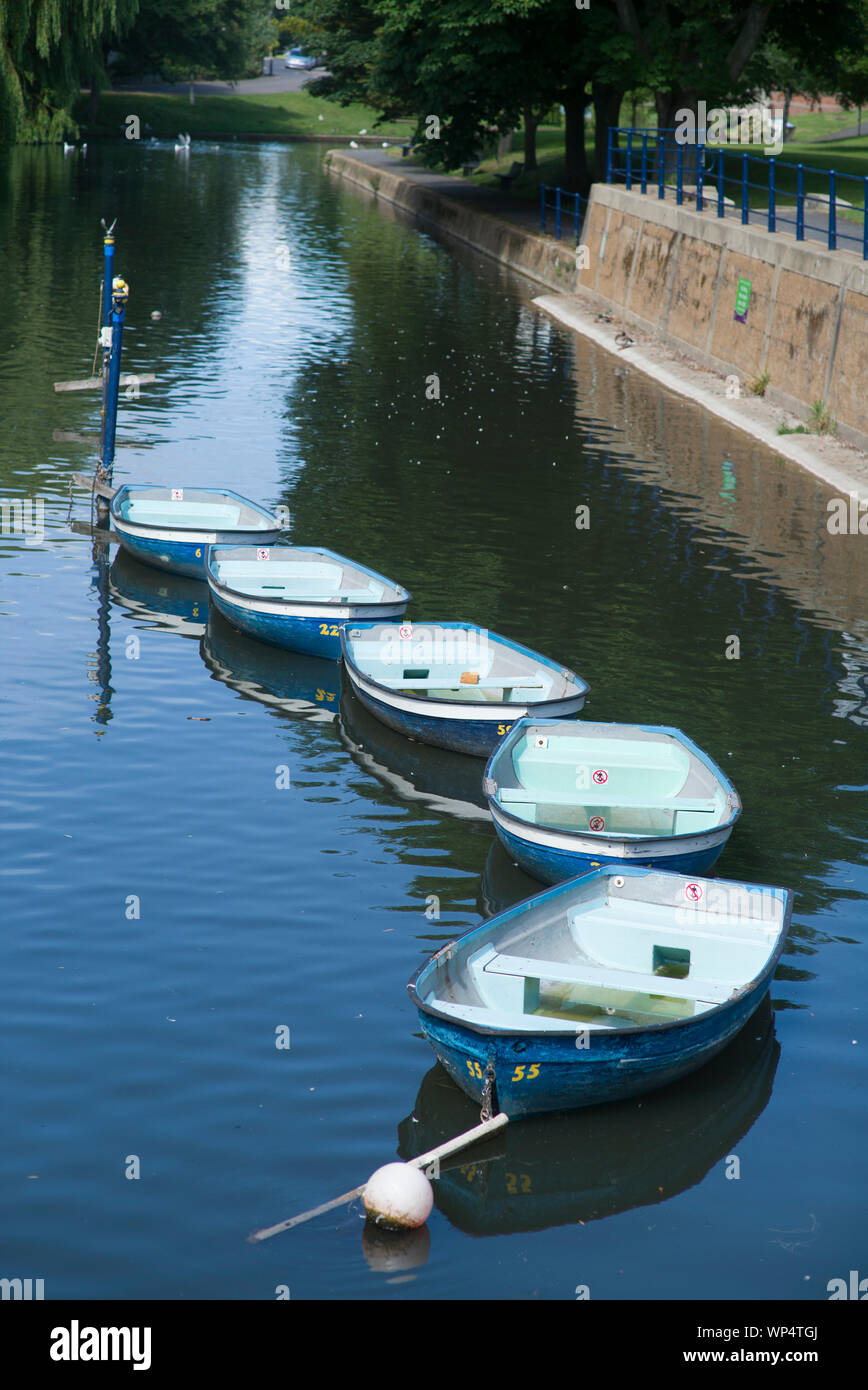 Rowing boats on canal Stock Photo Alamy