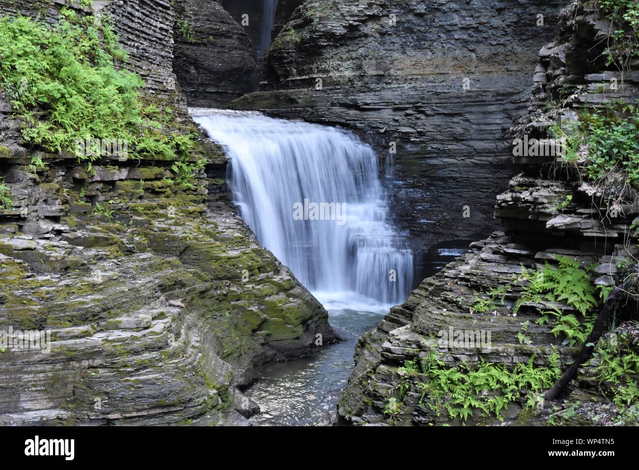 A scenic view captured in this image from Watkins Glen State Park. Stock Photo