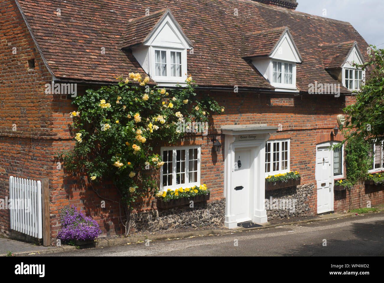 Yellow climbing rose on an old cottage Stock Photo