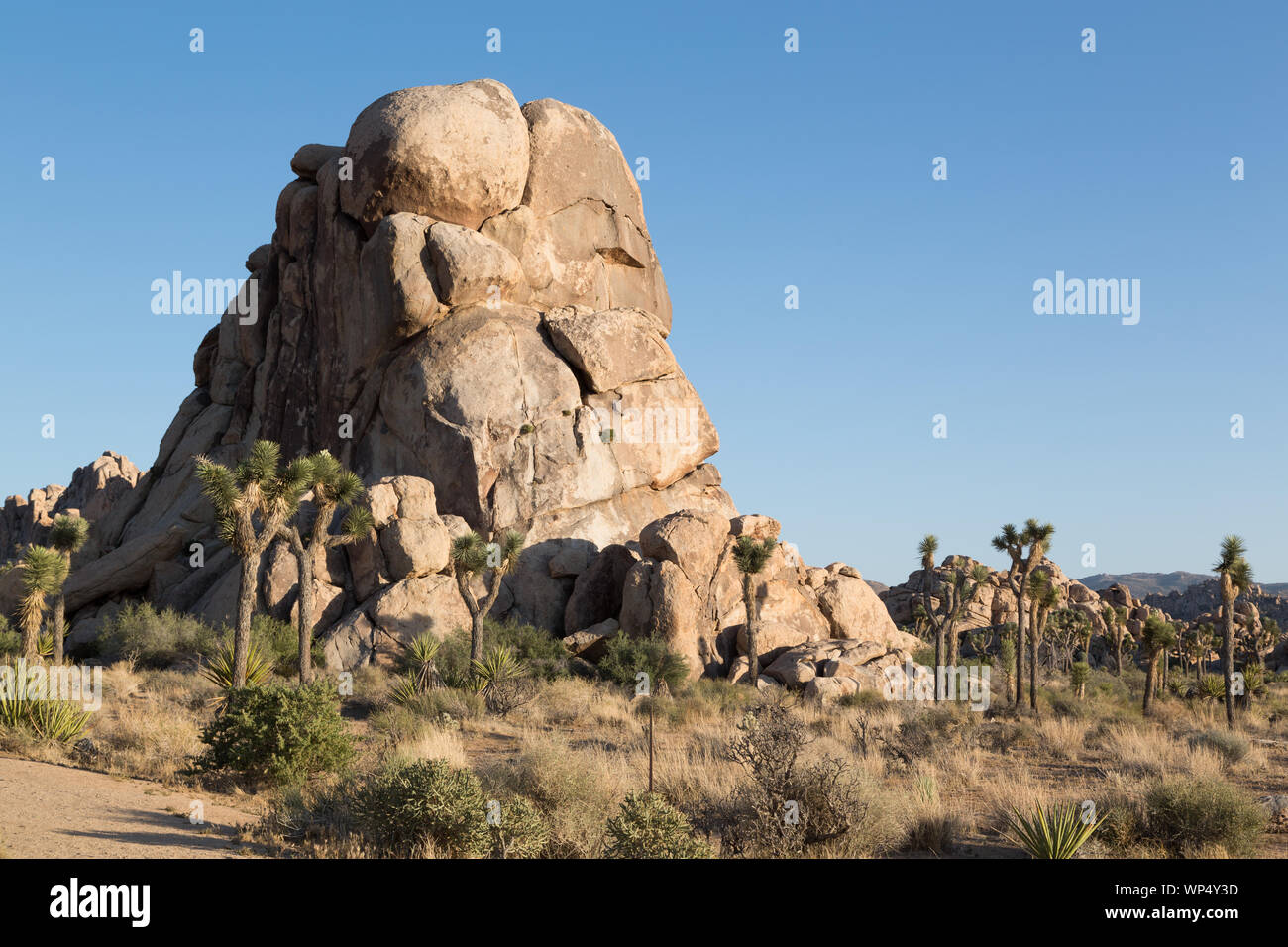 Joshua Tree National Park is located in southeastern California Stock Photo