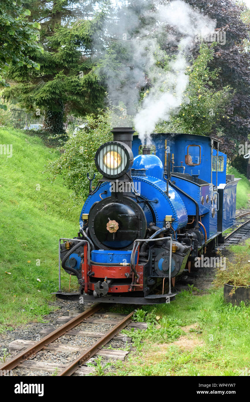 Steam locomotive No. 19 (originally from the Darjeeling Himalayan Railway in India ) at Launceston Steam Railway Launceston Cornwall UK Stock Photo