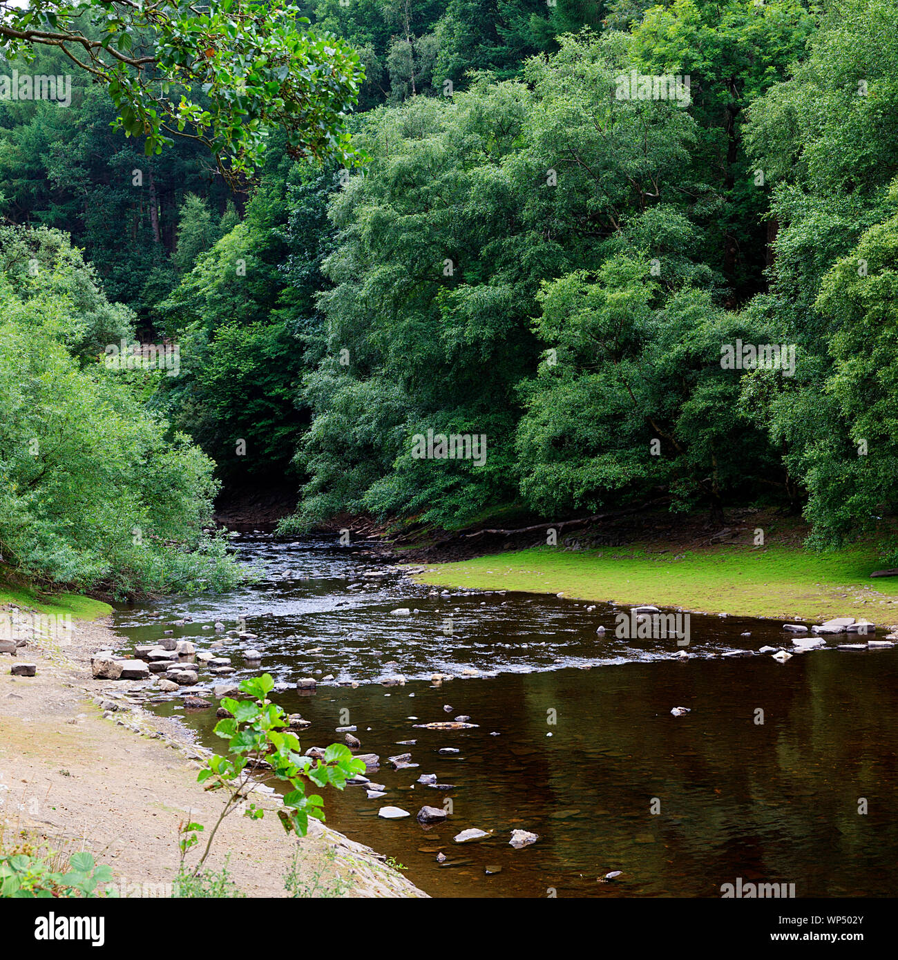 River Derwent flowing down the Upper Derwent Valley in the Peak District of Derbyshire, England