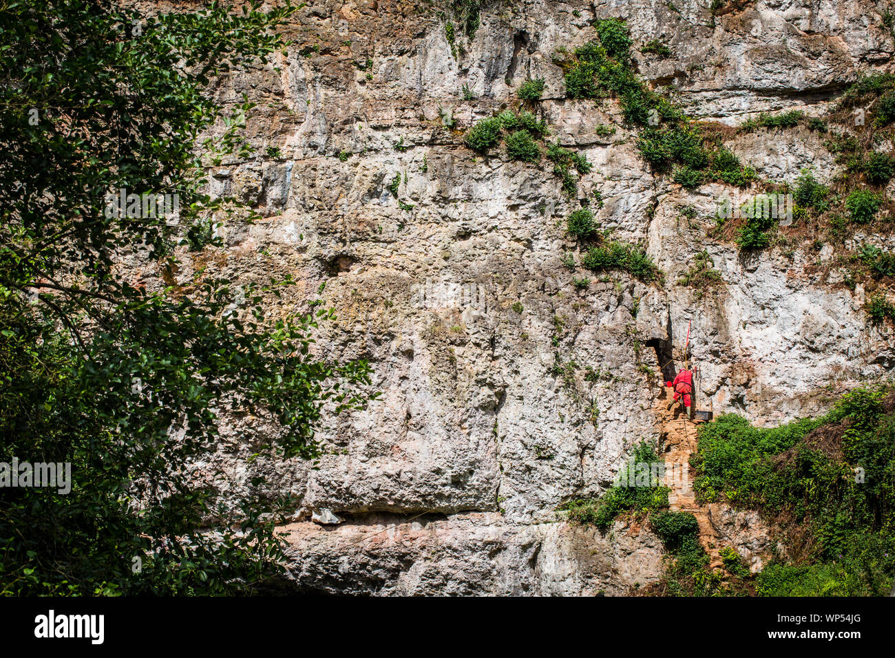A man high on a rope entering a cave on a cliff face at Wookey Hole in Somerset. UK Stock Photo