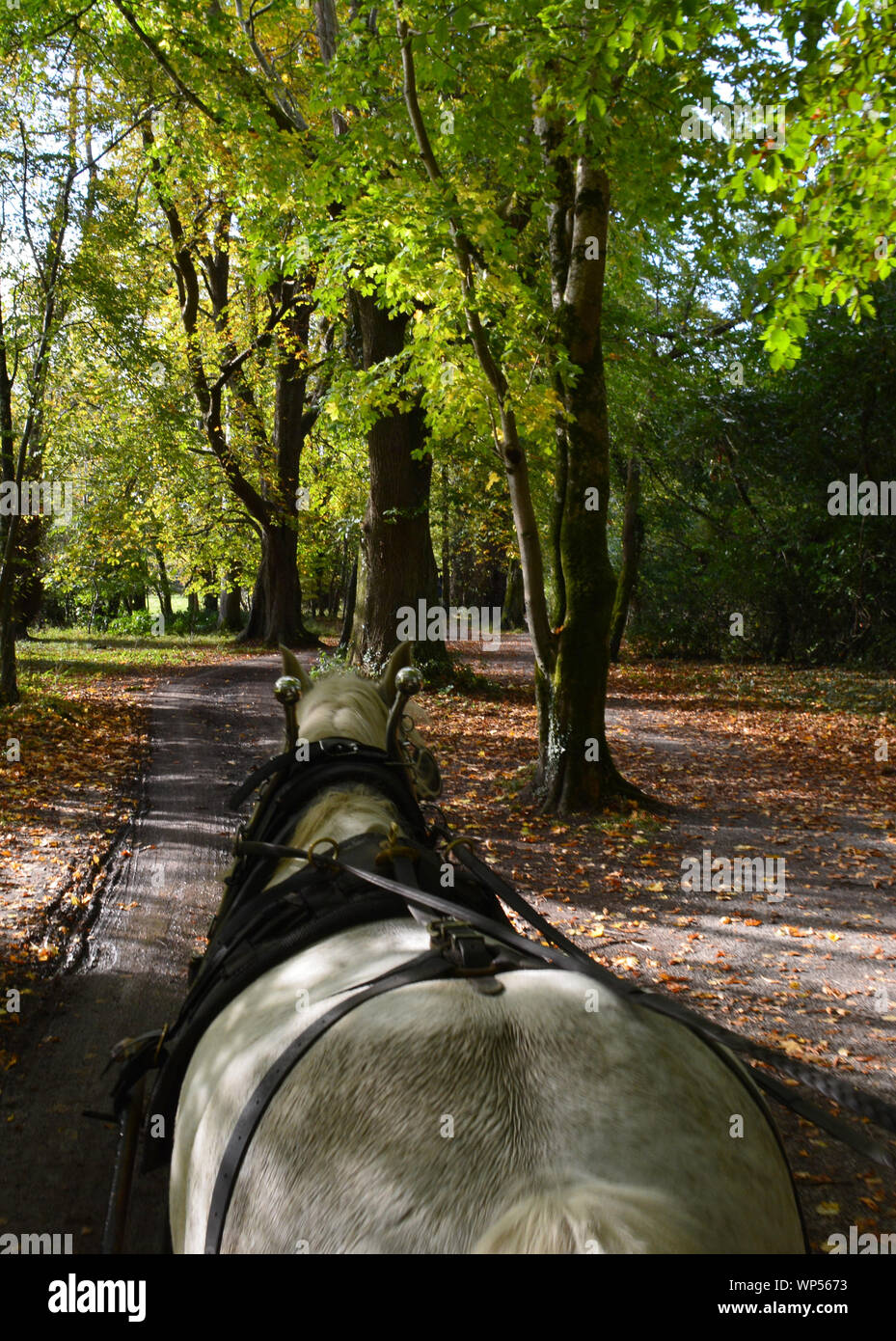 Book Cover Design Road High Resolution Stock Photography and Images Alamy