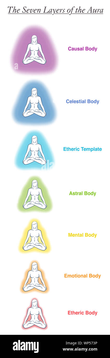 Seven aura bodies chart of a meditating yoga woman. Labeled chart - etheric, emotional, mental, astral, celestial and causal layer an template. Stock Photo