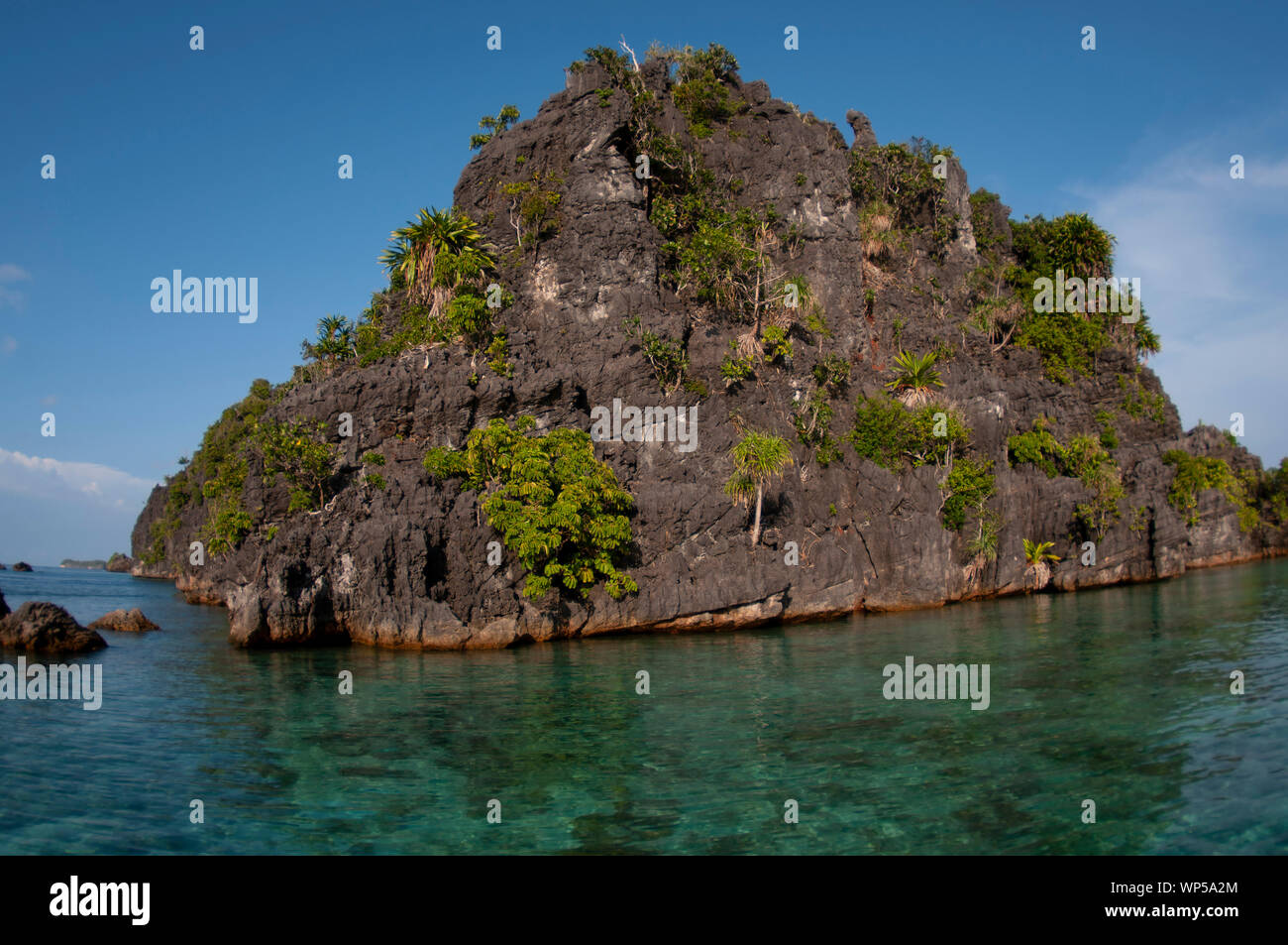 Limestone pinnacle island with coral in foreground, Raja Ampat, West ...