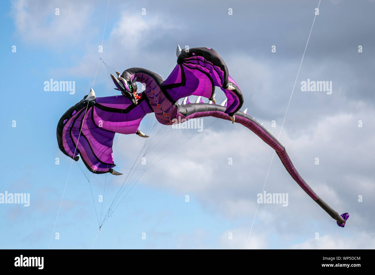 Spirit of air classical dragon kites hires stock photography and images Alamy