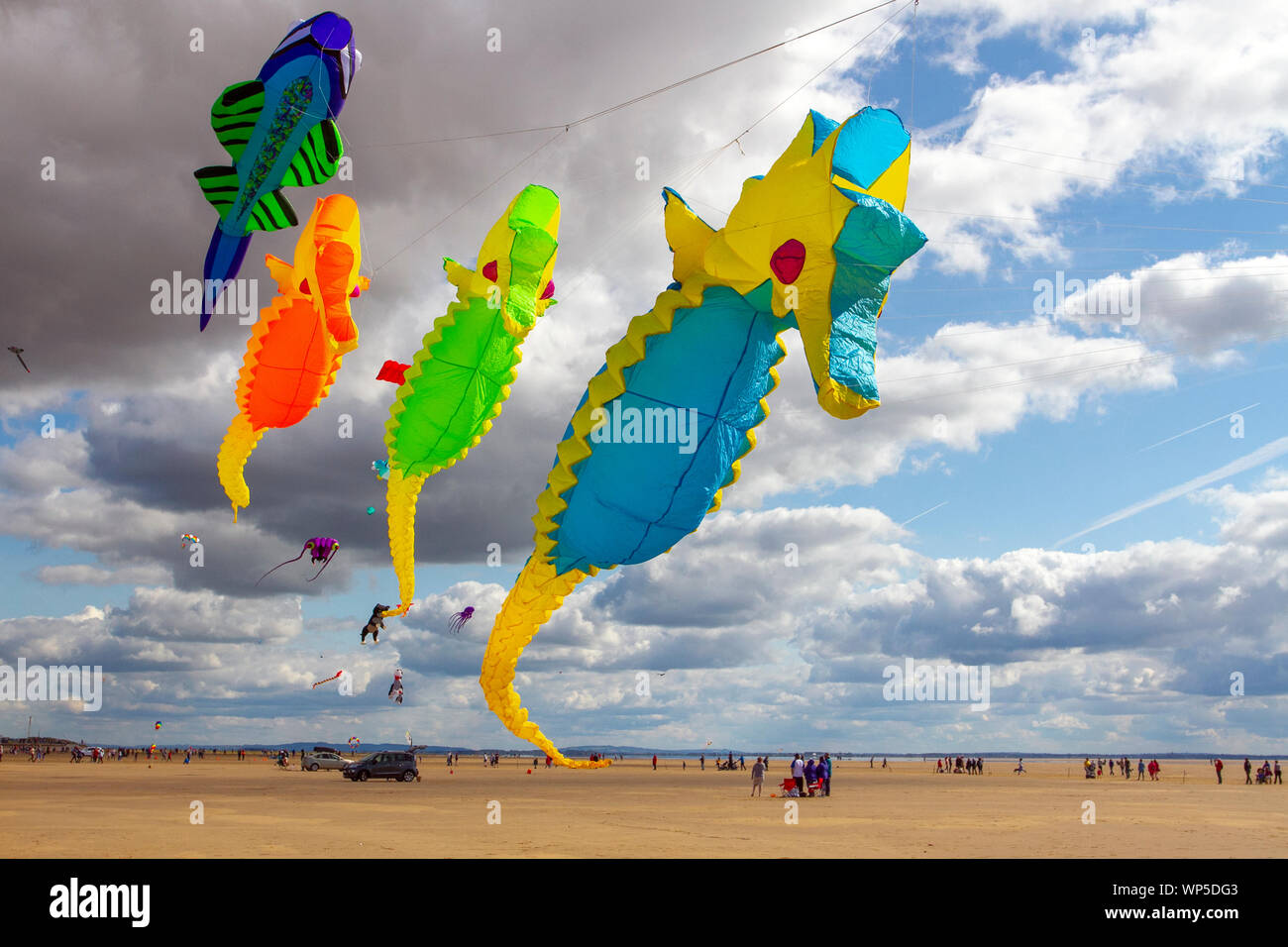 Seahorse kites in Lytham St Annes on Sea, Lancashire. UK Weather
