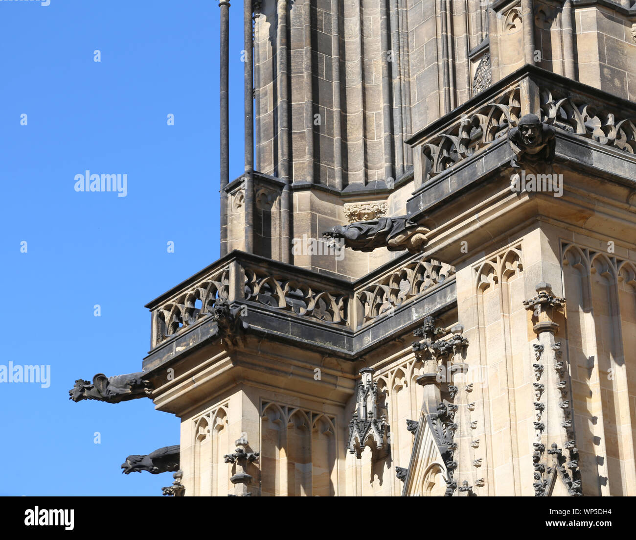 gargoyles of saint vitus cathedral in Prague Czech Republic in Europe