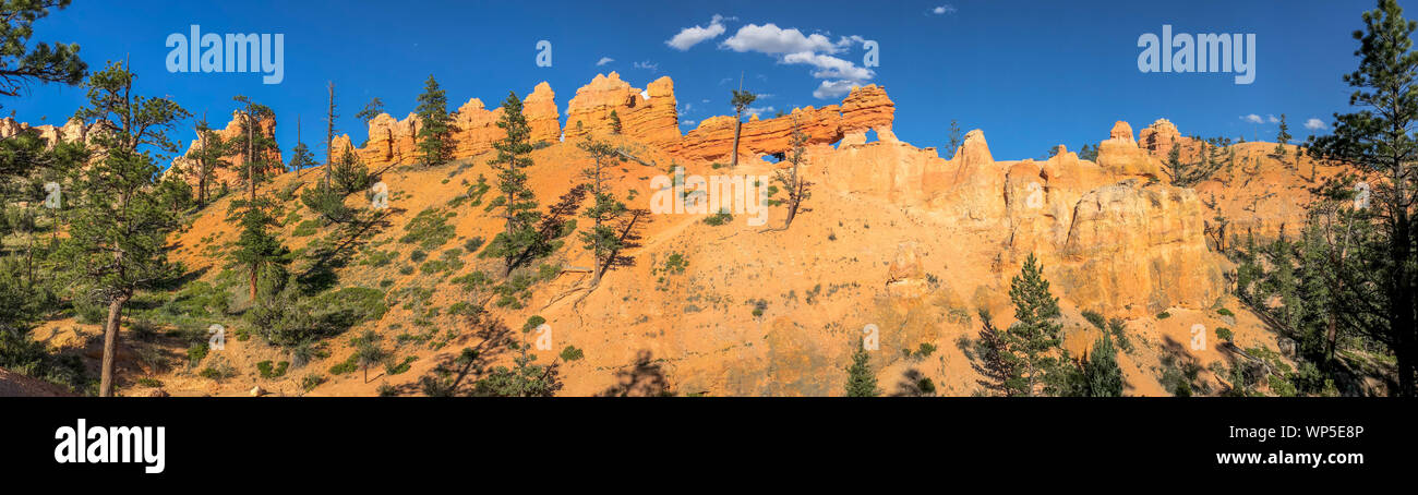Canyon panoramic view hi-res stock photography and images - Alamy