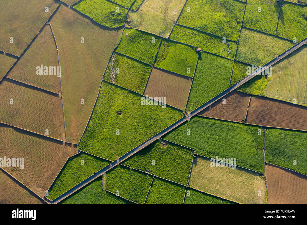 aerial views on the typical abstract countryside of the east of Terceira Island, one of the islands of the Açores (Azores) archipelago. Serra da Ribei Stock Photo