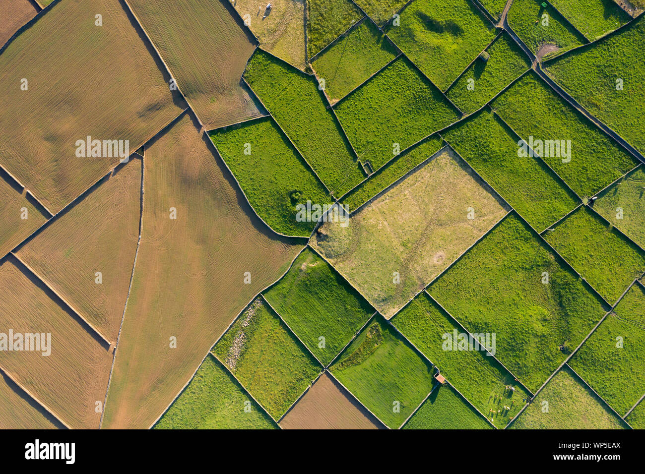 aerial views on the typical abstract countryside of the east of Terceira Island, one of the islands of the Açores (Azores) archipelago. Serra da Ribei Stock Photo